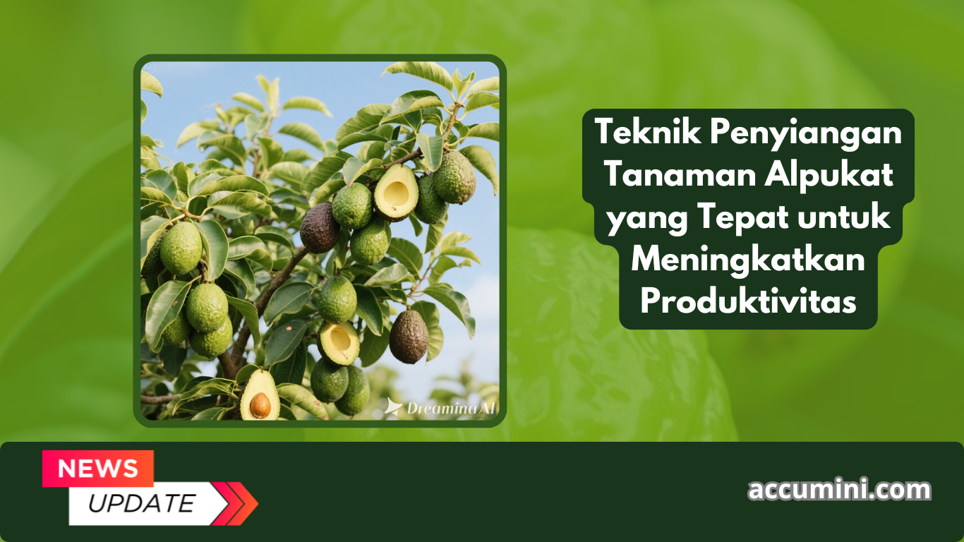 Teknik Penyiangan Tanaman Alpukat yang Tepat untuk Meningkatkan Produktivitas