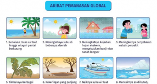 Observasi Alat Klimatologi dalam Industri Agribisnis Tanaman