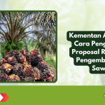 Kementan Atur Tata Cara Pengusulan Proposal Riset dan Pengembangan Sawit