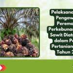 Pelaksanaan dan Pengawasan Peremajaan Perkebunan Kelapa Sawit Diatur Ketat dalam Permen Pertanian No. 05 Tahun 2025