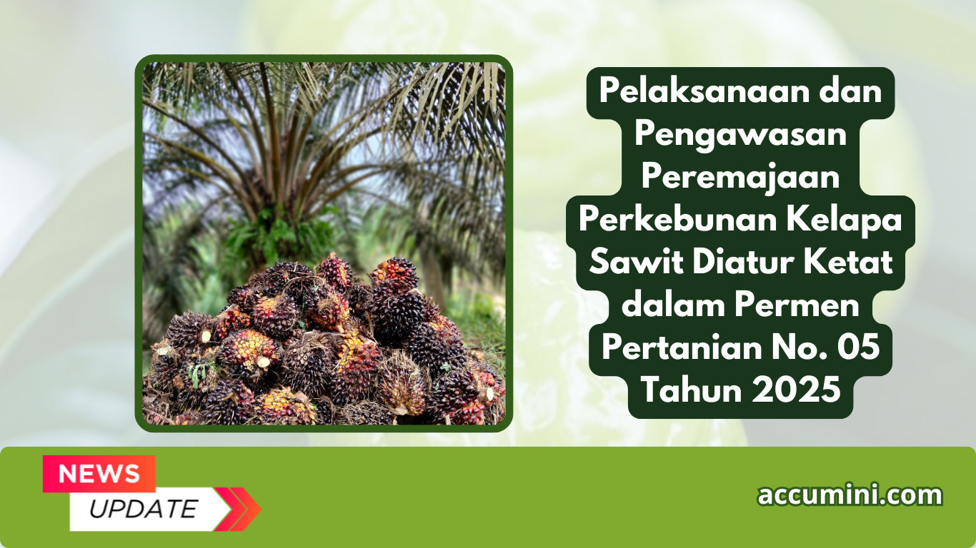 Pelaksanaan dan Pengawasan Peremajaan Perkebunan Kelapa Sawit Diatur Ketat dalam Permen Pertanian No. 05 Tahun 2025