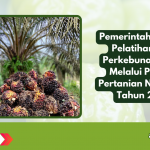 Pemerintah Perkuat Pelatihan SDM Perkebunan Sawit Melalui Permen Pertanian Nomor 05 Tahun 2025