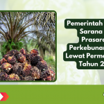 Pemerintah Perkuat Sarana dan Prasarana Perkebunan Sawit Lewat Permentan 05 Tahun 2025