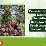 Pemerintah Tegaskan Komitmen Pendidikan dan Beasiswa di Sektor Sawit Lewat Permen Pertanian 05/2025