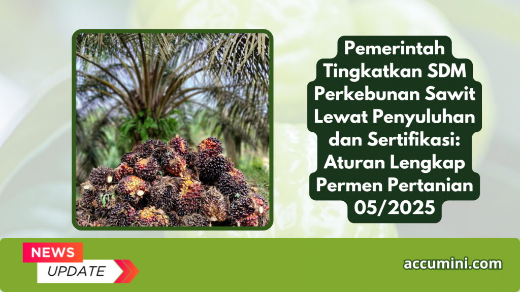 Pemerintah Tingkatkan SDM Perkebunan Sawit Lewat Penyuluhan dan Sertifikasi: Aturan Lengkap Permen Pertanian 05/2025