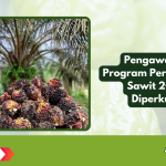 Pengawasan Program Peremajaan Sawit 2025 Diperkuat