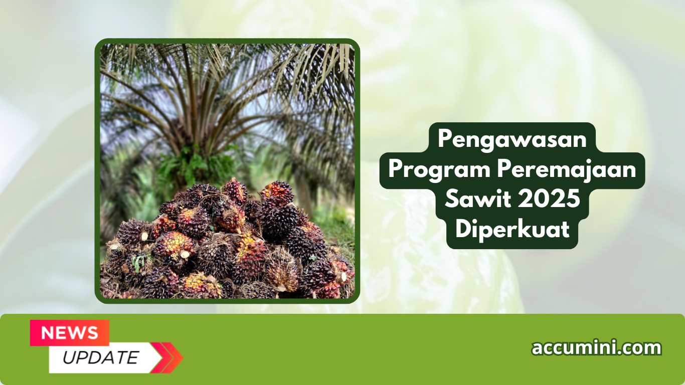 Pengawasan Program Peremajaan Sawit 2025 Diperkuat