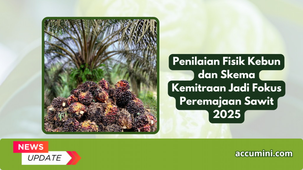 Penilaian Fisik Kebun dan Skema Kemitraan Jadi Fokus Peremajaan Sawit 2025