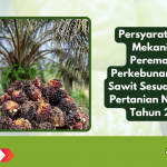 Persyaratan dan Mekanisme Peremajaan Perkebunan Kelapa Sawit Sesuai Permen Pertanian Nomor 05 Tahun 2025