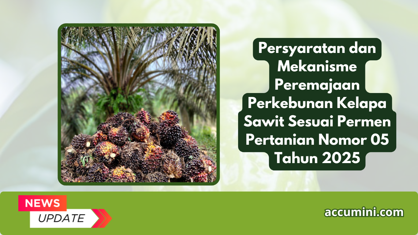 Persyaratan dan Mekanisme Peremajaan Perkebunan Kelapa Sawit Sesuai Permen Pertanian Nomor 05 Tahun 2025
