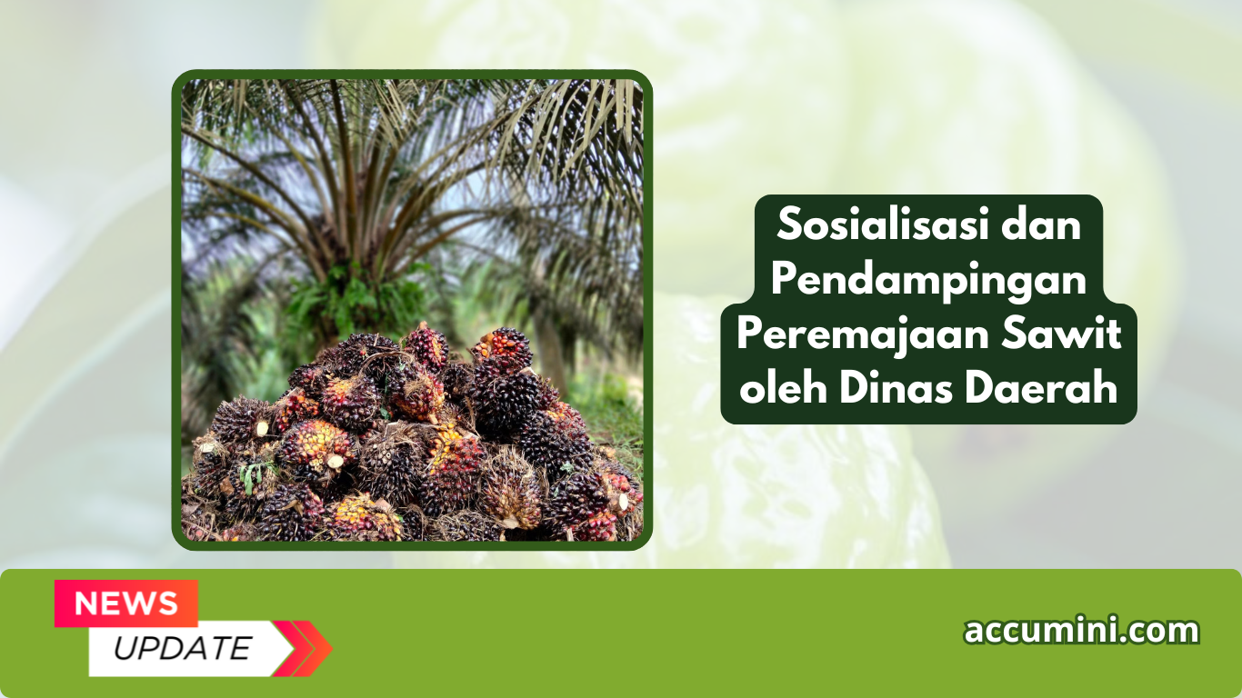 Sosialisasi dan Pendampingan Peremajaan Sawit oleh Dinas Daerah
