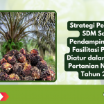Strategi Penguatan SDM Sawit: Pendampingan dan Fasilitasi Pekebun Diatur dalam Permen Pertanian Nomor 05 Tahun 2025