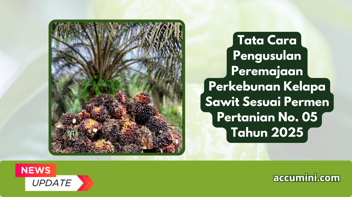Tata Cara Pengusulan Peremajaan Perkebunan Kelapa Sawit Sesuai Permen Pertanian No. 05 Tahun 2025