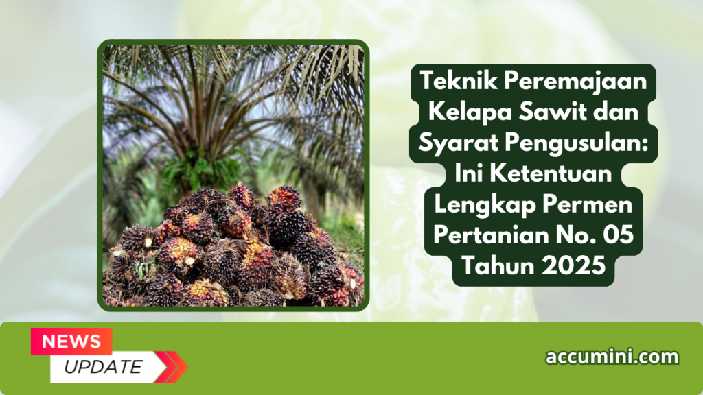 Teknik Peremajaan Kelapa Sawit dan Syarat Pengusulan: Ini Ketentuan Lengkap Permen Pertanian No. 05 Tahun 2025