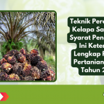 Teknik Peremajaan Kelapa Sawit dan Syarat Pengusulan: Ini Ketentuan Lengkap Permen Pertanian No. 05 Tahun 2025