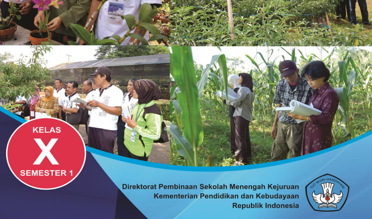 Agribisnis Perbenihan